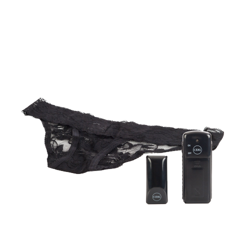 Waterproof Remote Panty Set